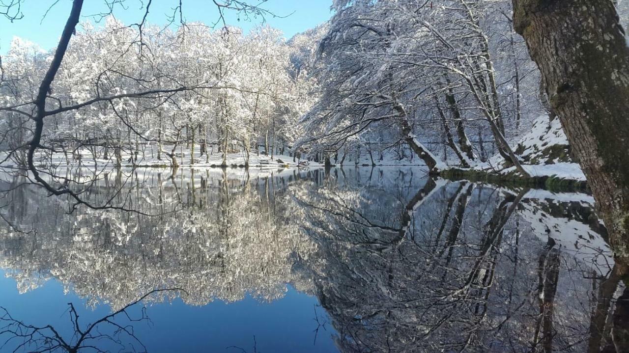 Affittacamere Habitat Mesire Mengen Esterno foto