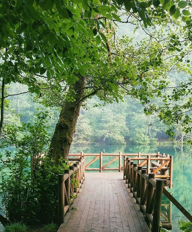 Affittacamere Habitat Mesire Mengen Esterno foto