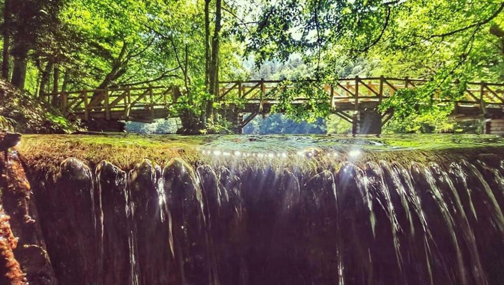 Affittacamere Habitat Mesire Mengen Esterno foto