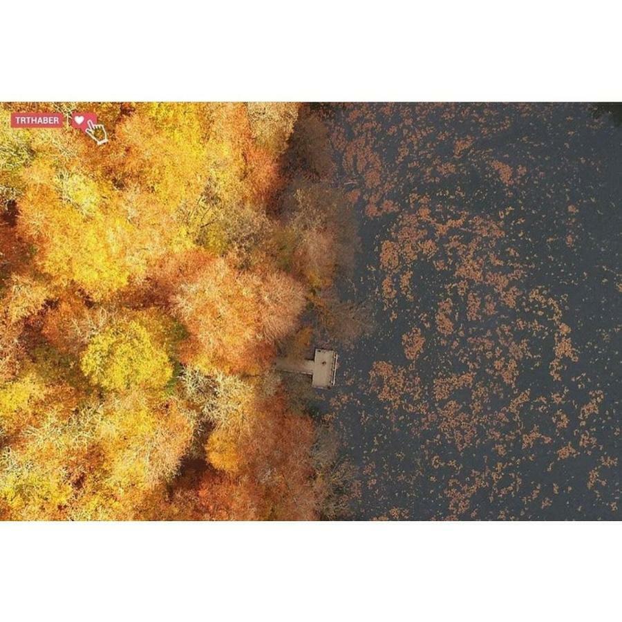 Affittacamere Habitat Mesire Mengen Esterno foto
