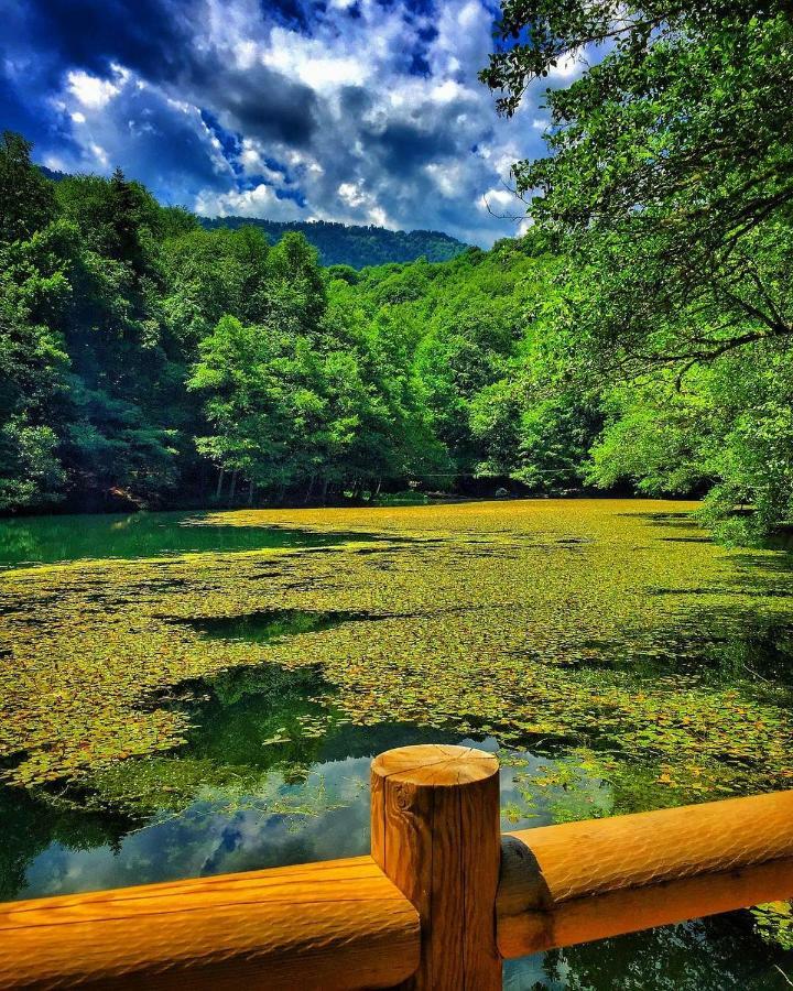 Affittacamere Habitat Mesire Mengen Esterno foto