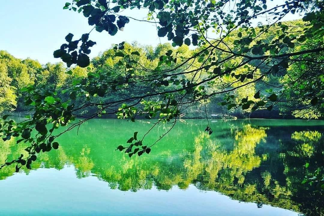 Affittacamere Habitat Mesire Mengen Esterno foto