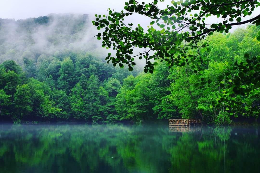 Affittacamere Habitat Mesire Mengen Esterno foto