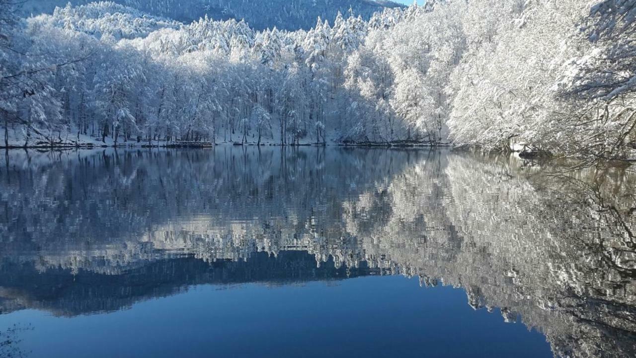 Affittacamere Habitat Mesire Mengen Esterno foto