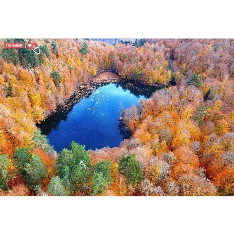 Affittacamere Habitat Mesire Mengen Esterno foto