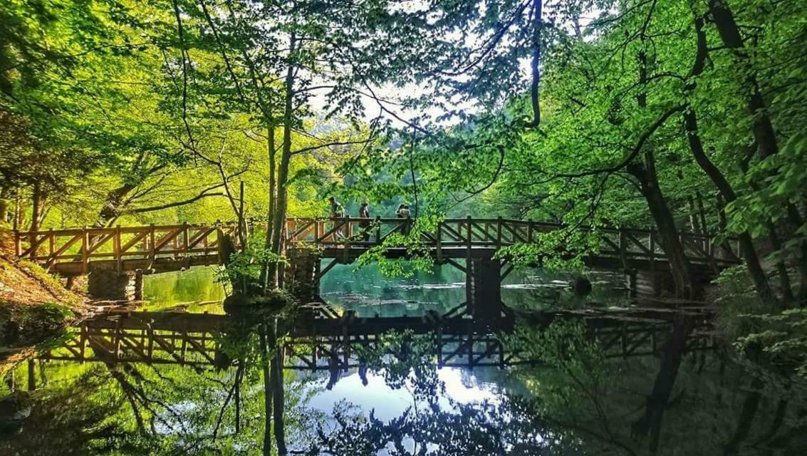 Affittacamere Habitat Mesire Mengen Esterno foto