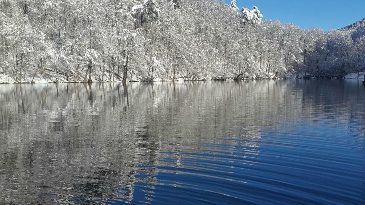 Affittacamere Habitat Mesire Mengen Esterno foto